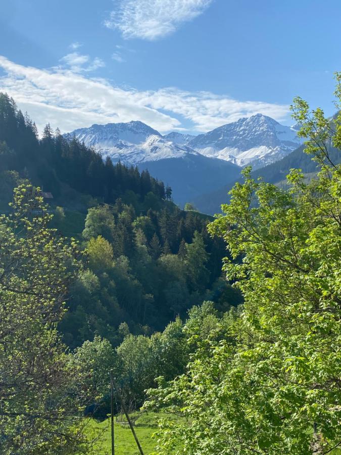 Bambi Lodge Ferienwohnung Auf Knapp 1400 M Nahe Arosa Peist Exterior foto