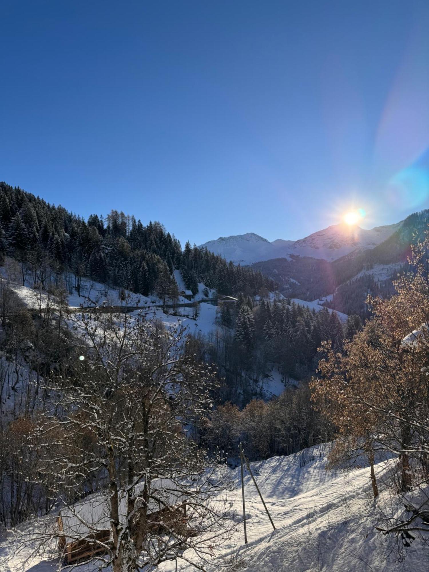 Bambi Lodge Ferienwohnung Auf Knapp 1400 M Nahe Arosa Peist Exterior foto