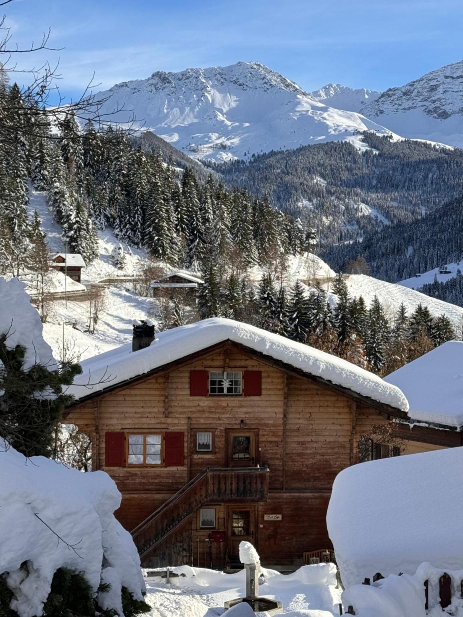 Bambi Lodge Ferienwohnung Auf Knapp 1400 M Nahe Arosa Peist Exterior foto